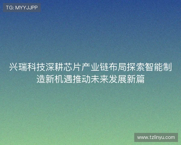 兴瑞科技深耕芯片产业链布局探索智能制造新机遇推动未来发展新篇
